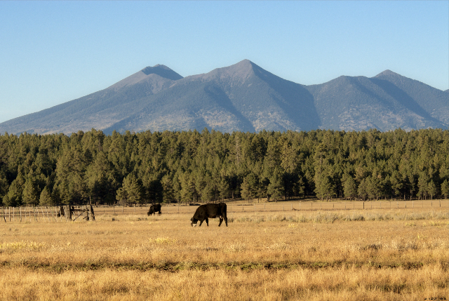 San Francisco Peaks