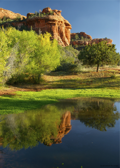 sedona tank