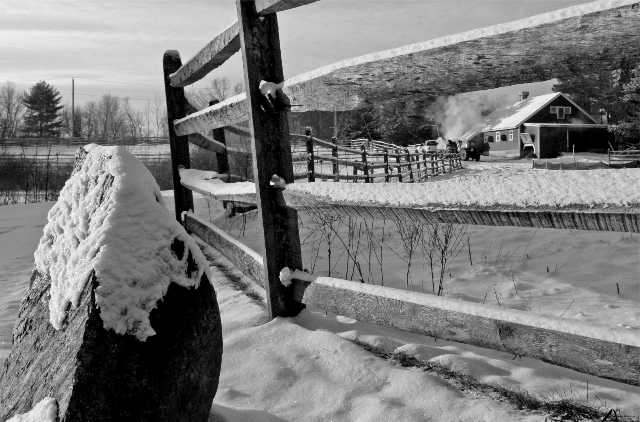 fence in winter