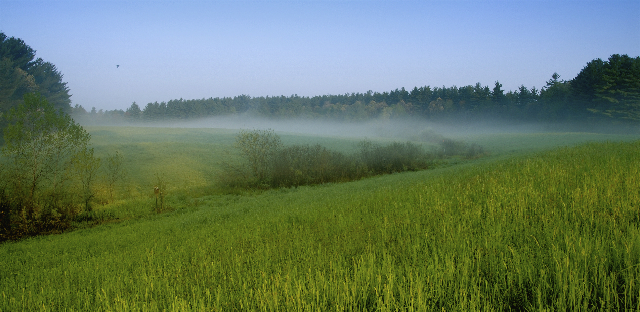 fog over Nissitissit River